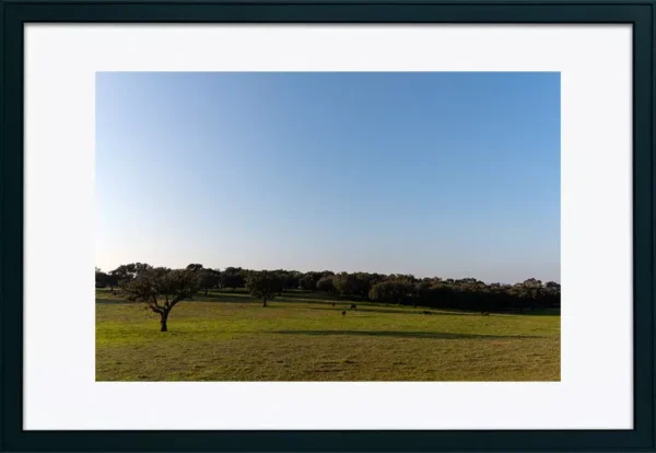 Alenquer - Poster ID120