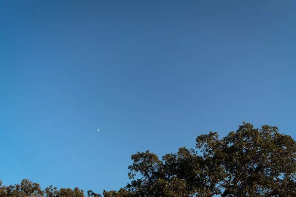 Alenquer - Poster ID121