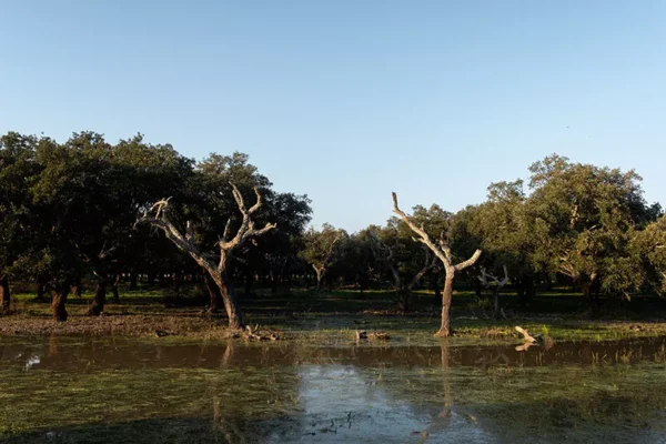 Alenquer - Poster ID122