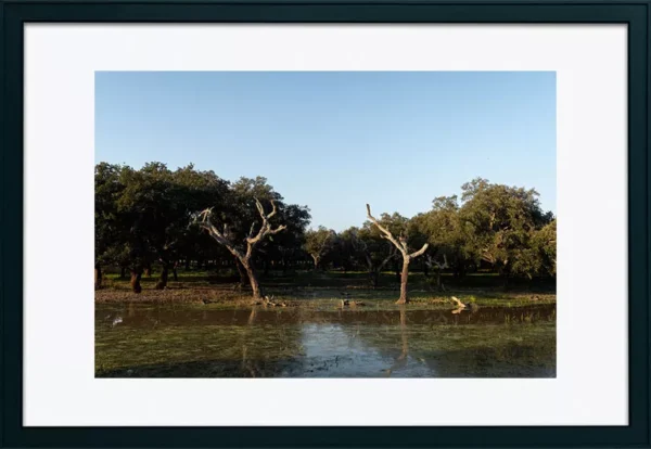 Alenquer - Poster ID122