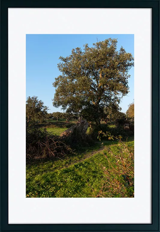 Alenquer - Poster ID125