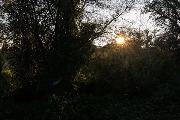 Alenquer - Poster ID129