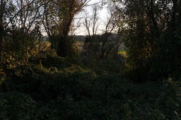 Alenquer - Poster ID130