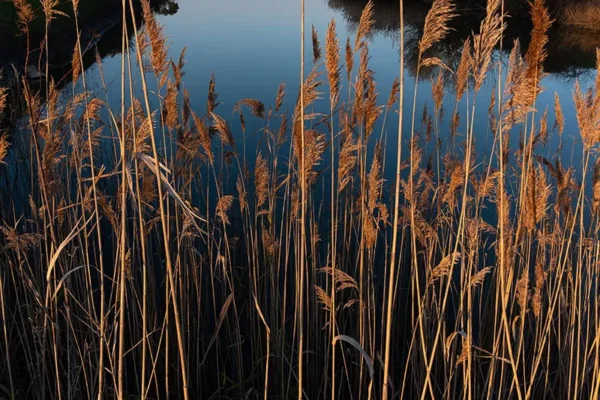 Alenquer - Poster ID132