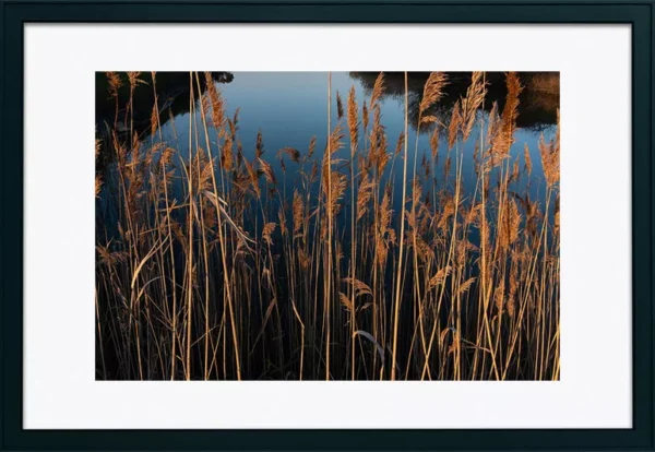 Alenquer - Poster ID132