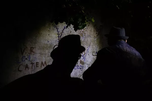 Pintar e Cantar dos Reis - Poster ID36