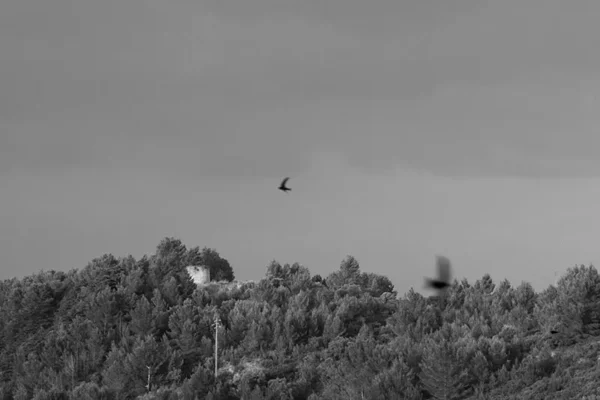 Alenquer - Poster ID153