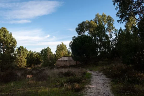 Alenquer - Poster ID164