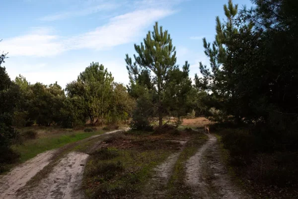 Alenquer - Poster ID166