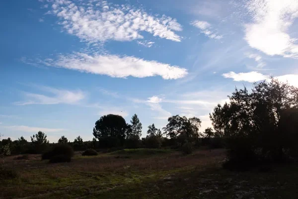 Alenquer - Poster ID167