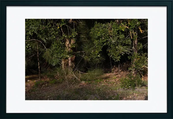 Alenquer - Poster ID168