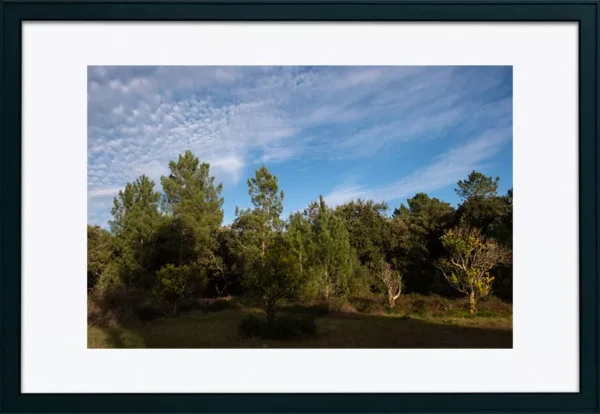 Alenquer - Poster ID169