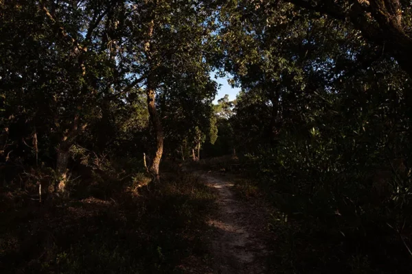 Alenquer - Poster ID171