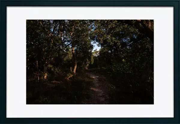 Alenquer - Poster ID171