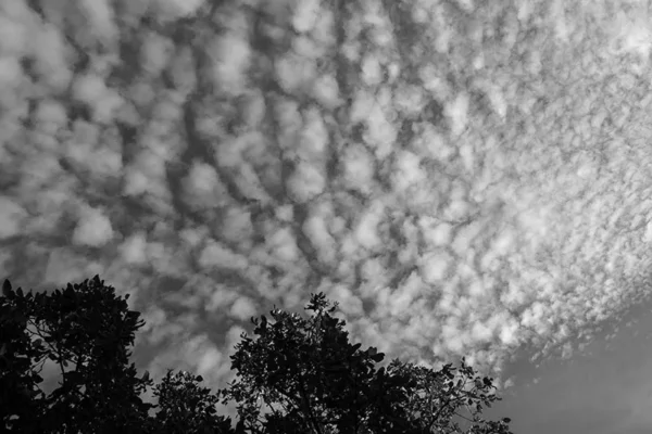 Alenquer - Poster ID172