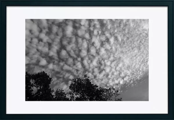 Alenquer - Poster ID172