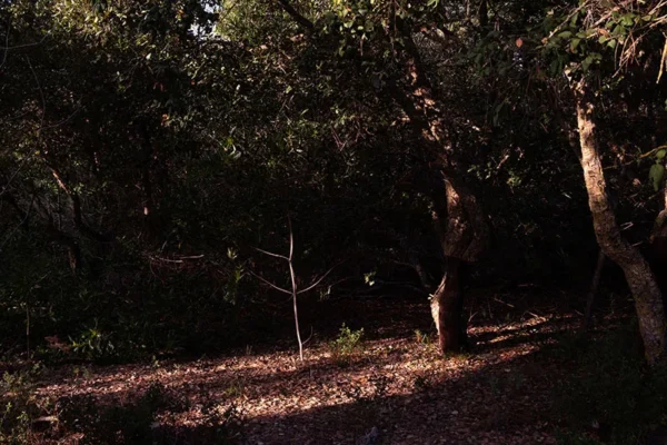 Alenquer - Poster ID173