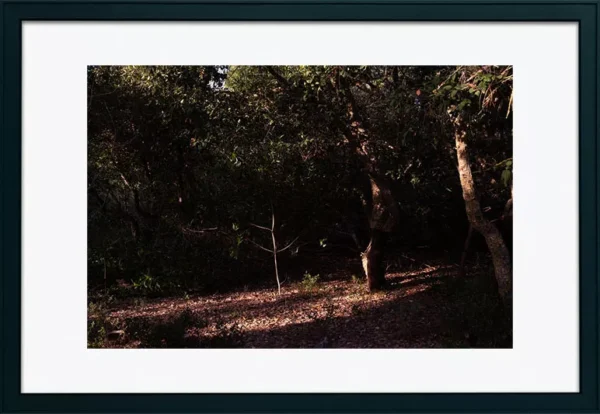 Alenquer - Poster ID173