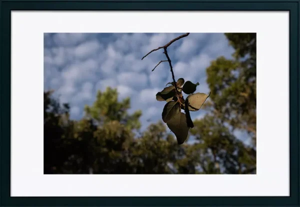 Alenquer - Poster ID174