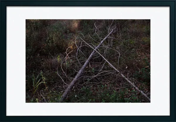 Alenquer - Poster ID175