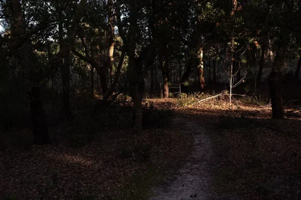 Alenquer - Poster ID176