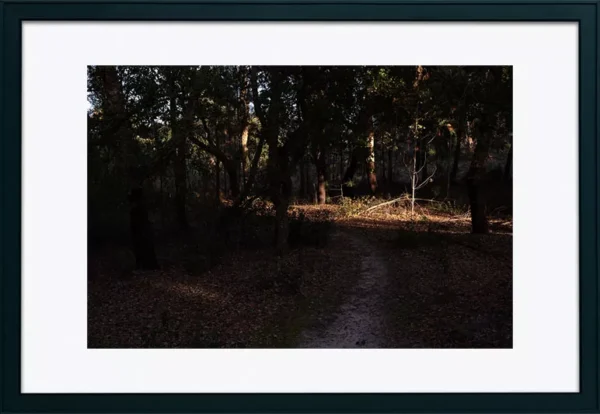 Alenquer - Poster ID176