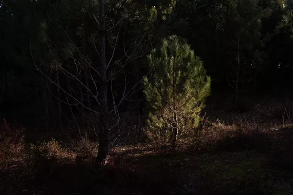 Alenquer - Poster ID177