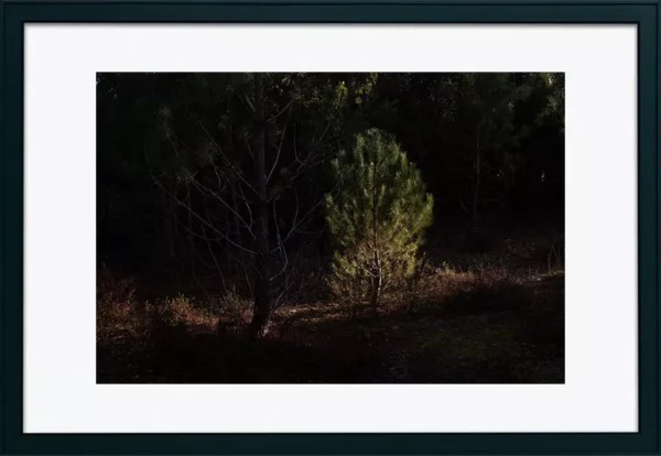 Alenquer - Poster ID177