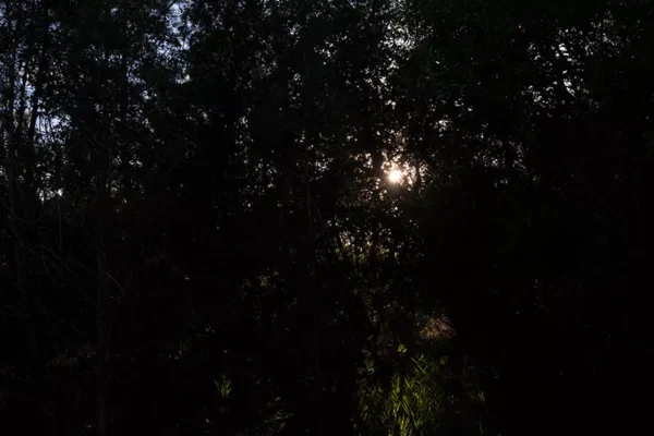 Alenquer - Poster ID178