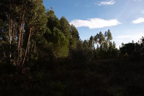 Alenquer - Poster ID179