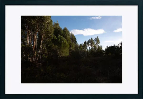 Alenquer - Poster ID179