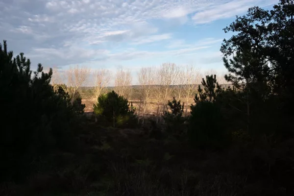 Alenquer - Poster ID181