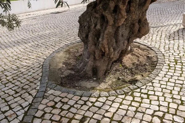 Alenquer - Poster ID200