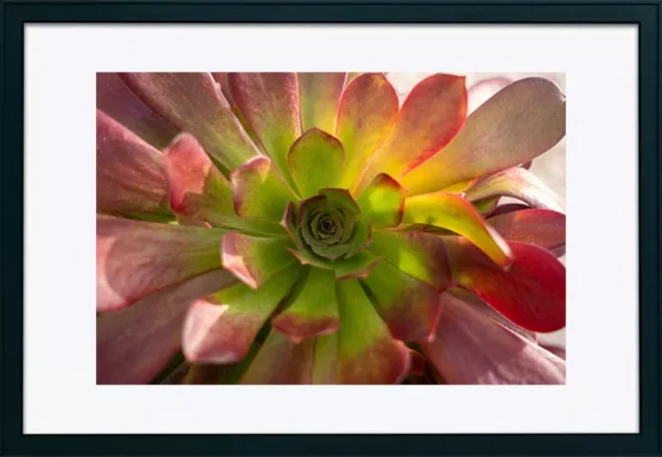 Alenquer - Poster ID202