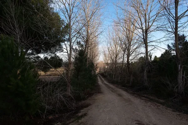 Alenquer - Poster ID184