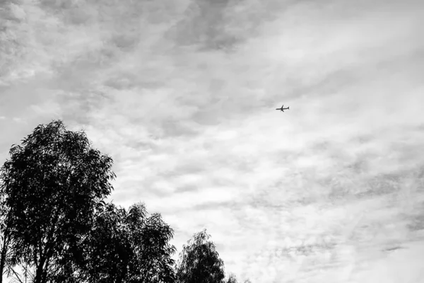 Alenquer - Poster ID186