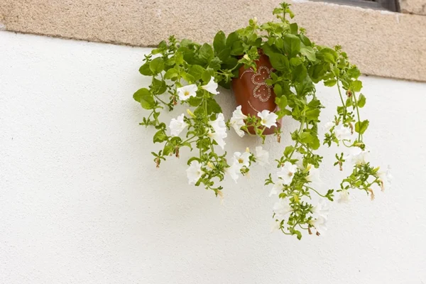 Bordados de Nisa - ID60